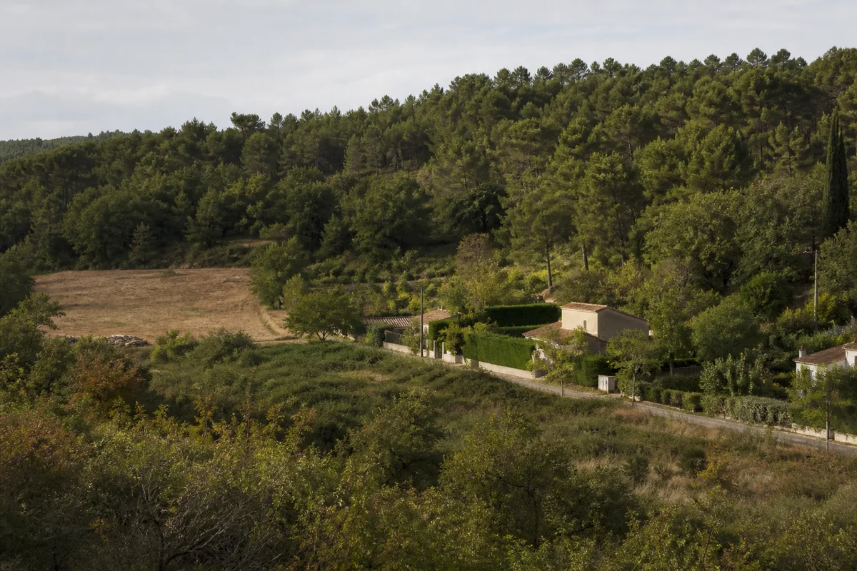 Lisière boisée au contact de parcelles entretenues, d’habitations et d’une route locale.