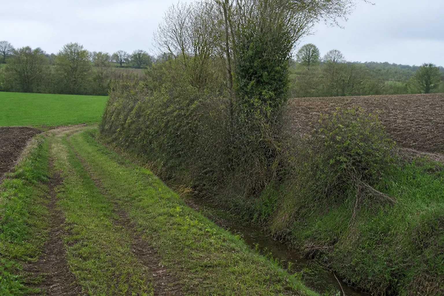 Paysage bocager agricole avec parcelles, haies et chemin.