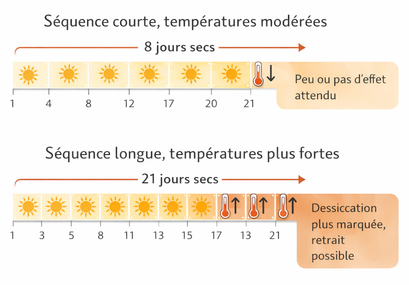 illustration séquence de températures
